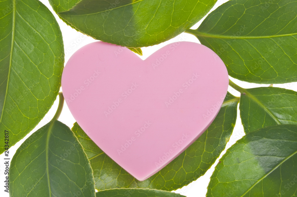 Love and Nature Concept Love and Nature Concept