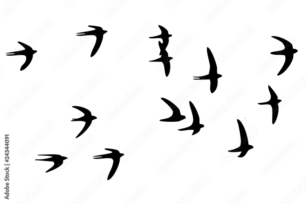 vogelschwarm wandtattoo vogelschwarm wandtattoo