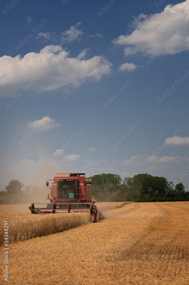 Obraz premium Landwirtschaft