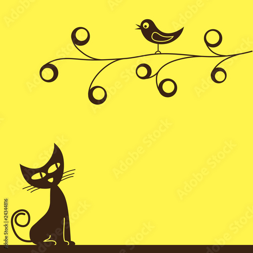 bird & cat