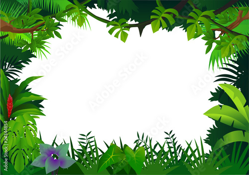 Forest frame background