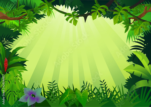 Forest background
