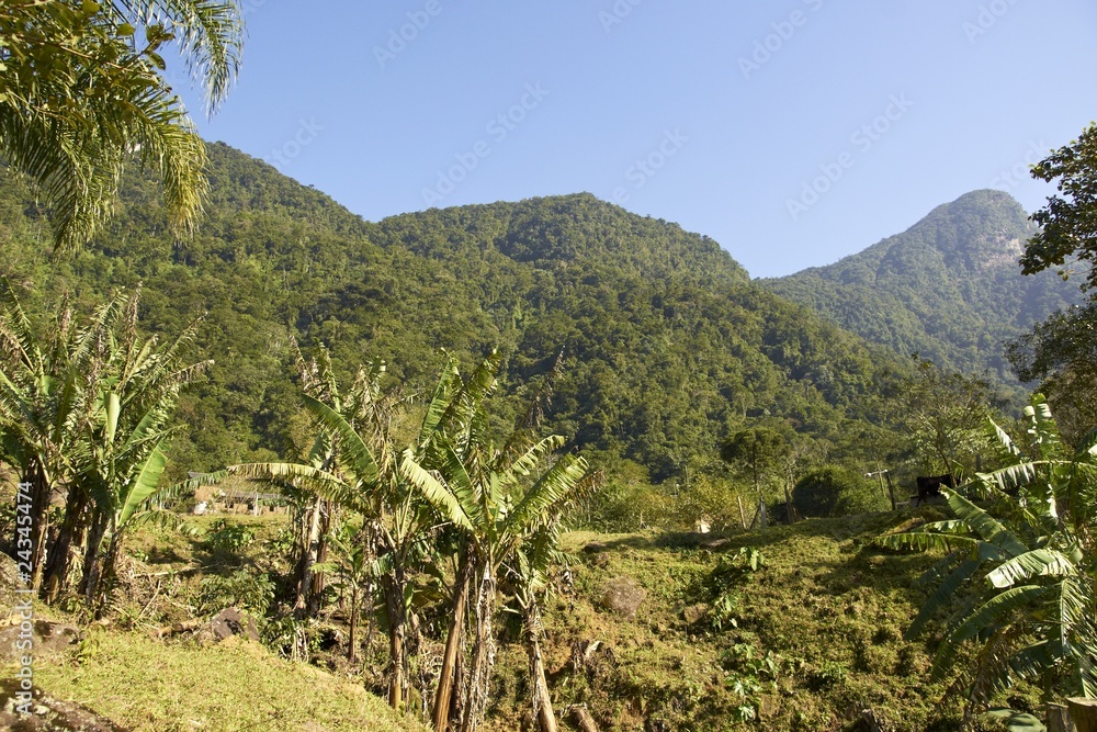 Obraz premium Hügellandschaft in Südbrasilien