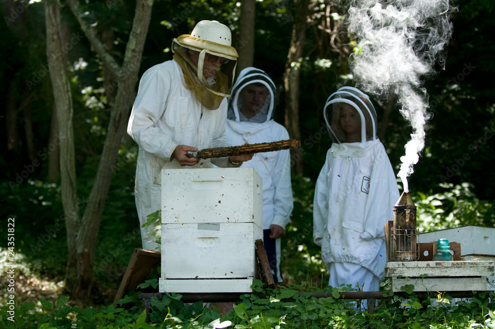 BeeKeeper BeeKeeper