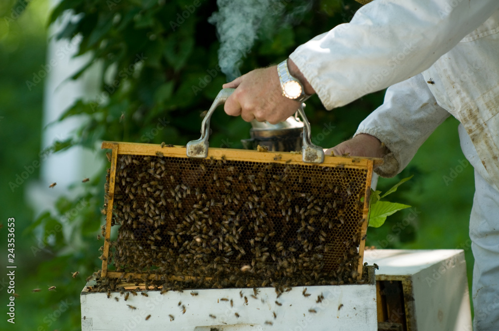 BeeKeeper BeeKeeper