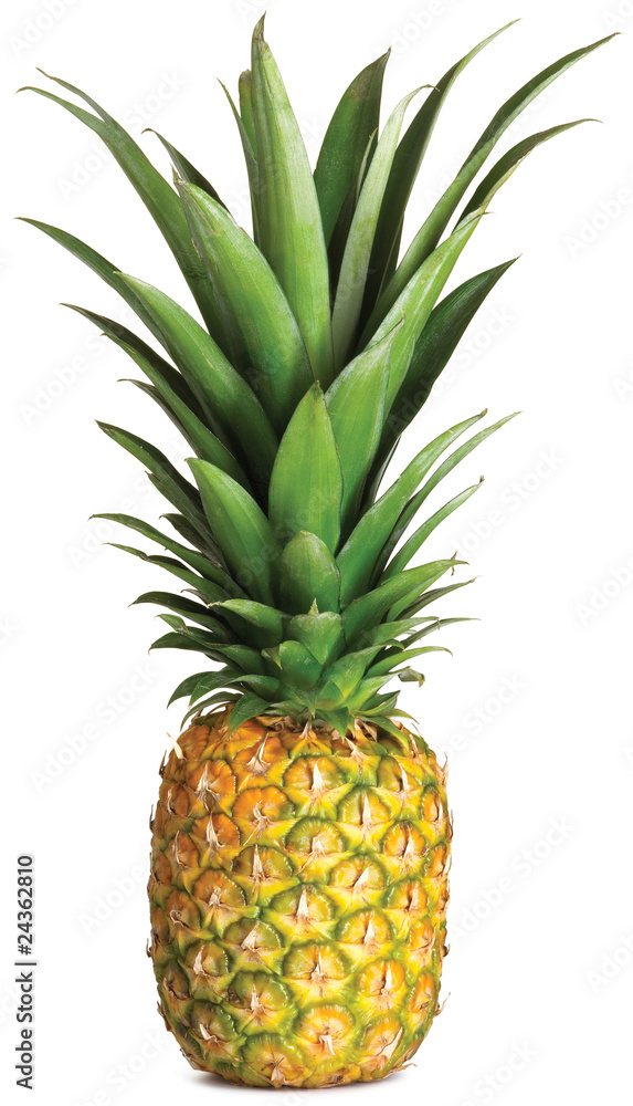 Fototapeta premium whole pineapple on a white background