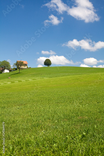 landscape with green grass, tree, house and perfect sky