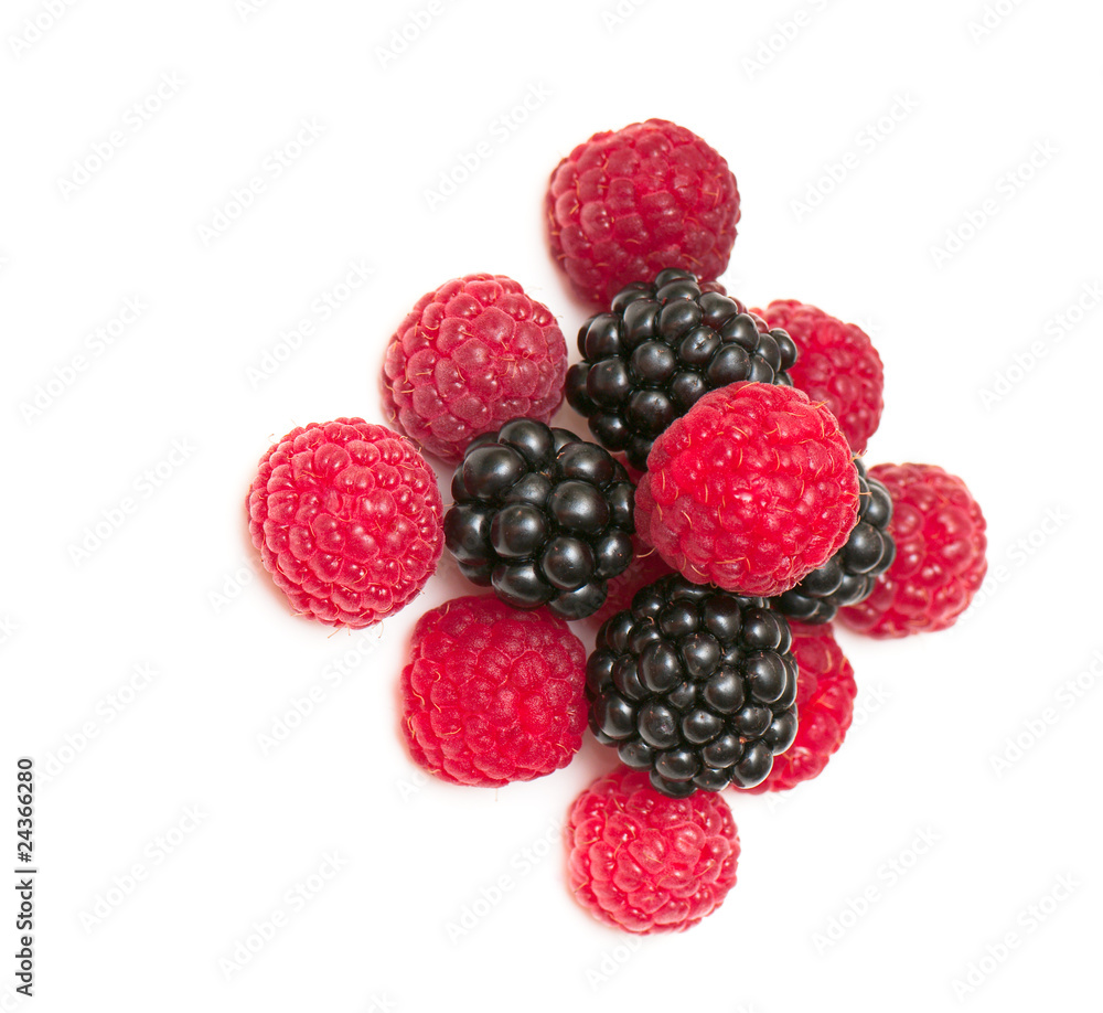 blackberry and raspberry blackberry and raspberry