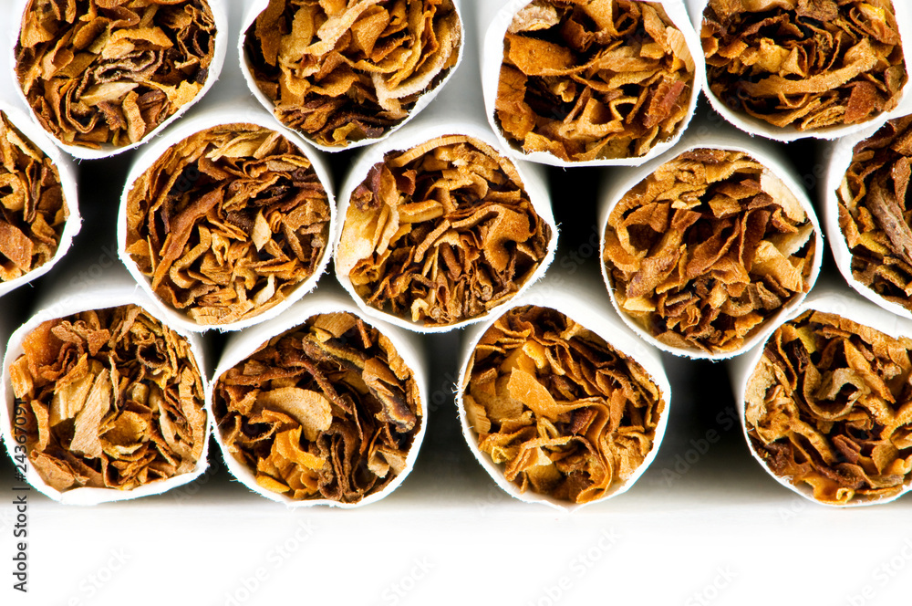 Smoking cigarettes isolated on the white background Smoking cigarettes isolated on the white background