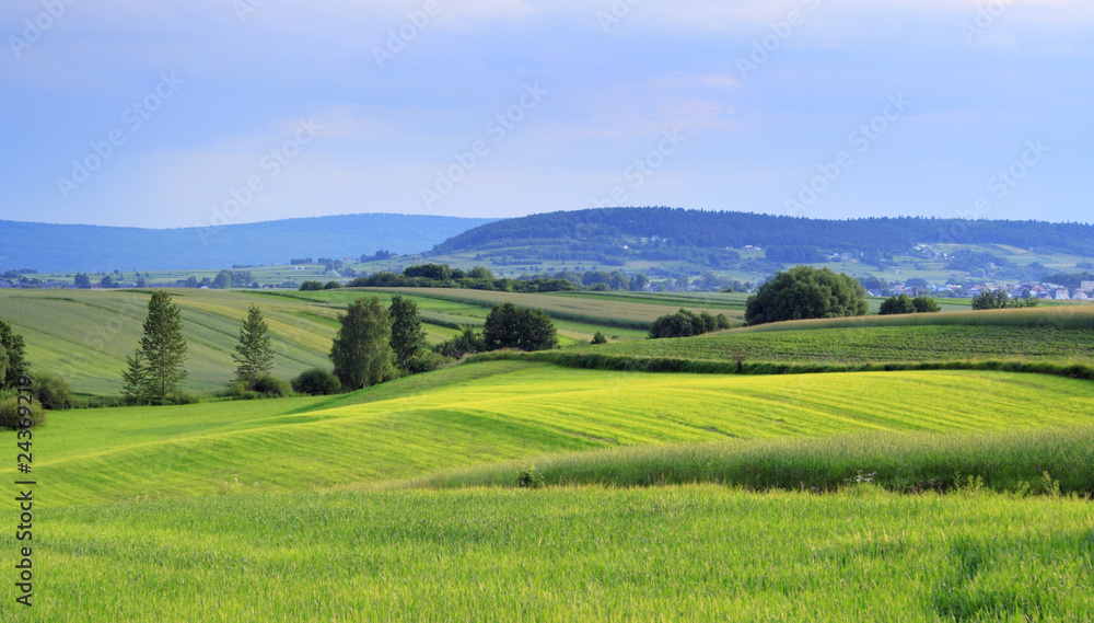 Wavy fields landscape