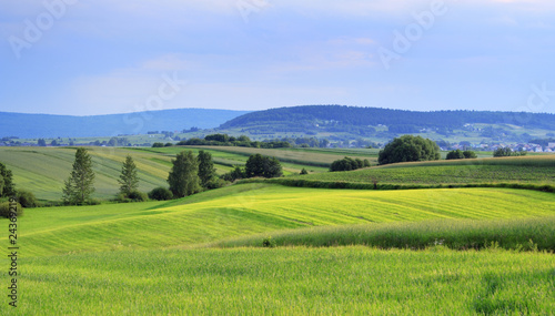 Wavy fields landscape