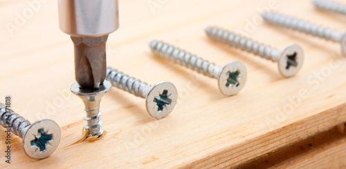 Goup of nails and screwdriver. Out of crowd concepts.