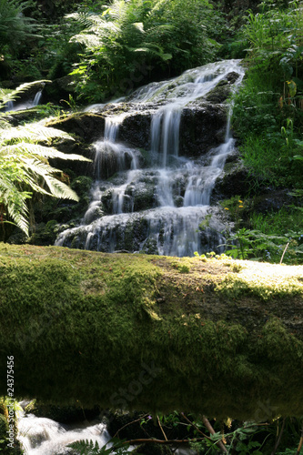 La Vologne pr  s de la Cascade Charlemagne