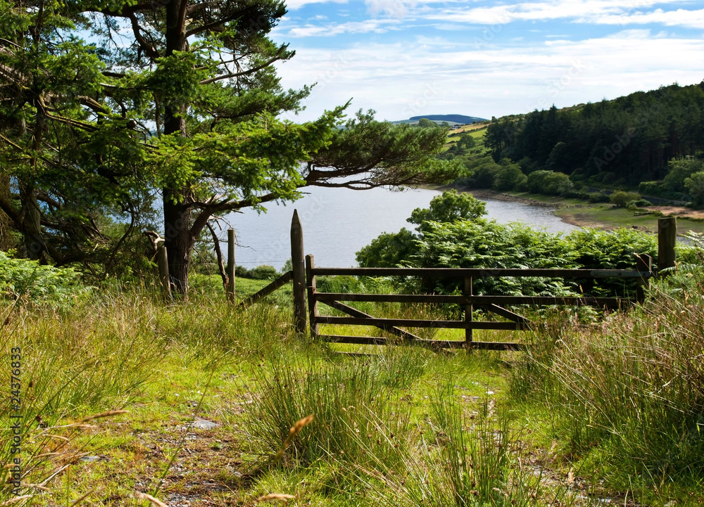 Forrest track with a gate overlooking beautiful lake Forrest track with a gate overlooking beautiful lake