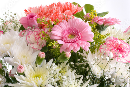 Fresh beautiful summer flowers