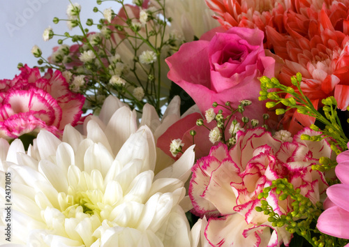 Fresh beautiful summer flowers