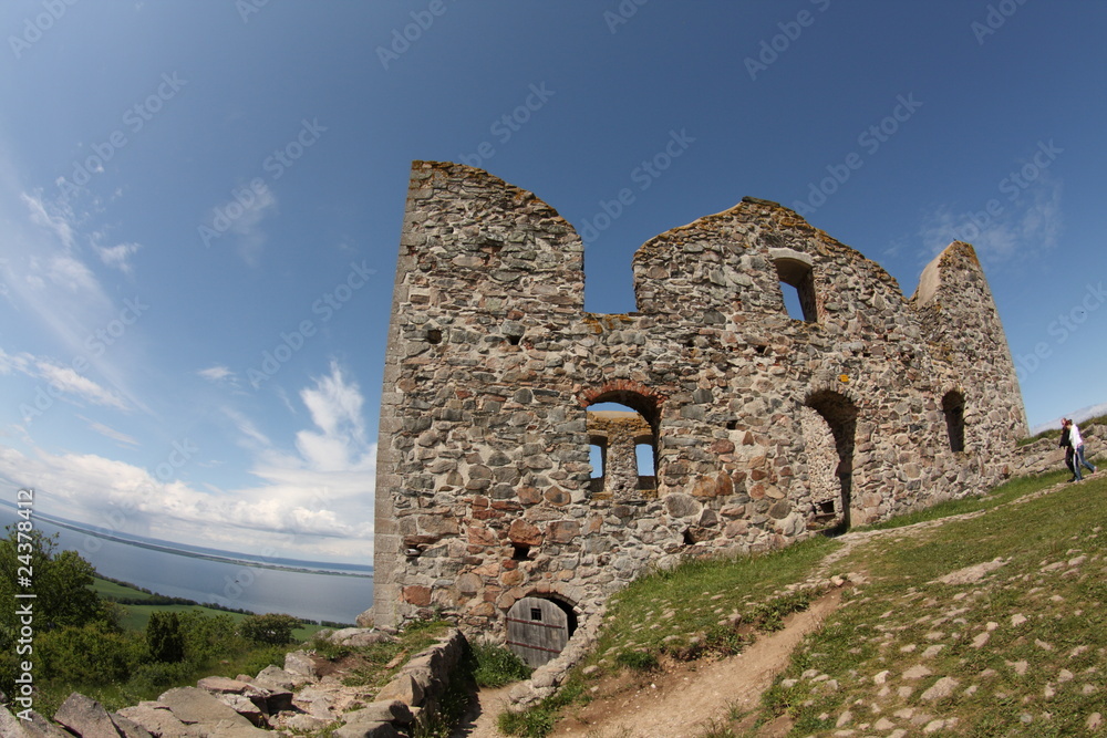 Brahehus Castle Brahehus Castle