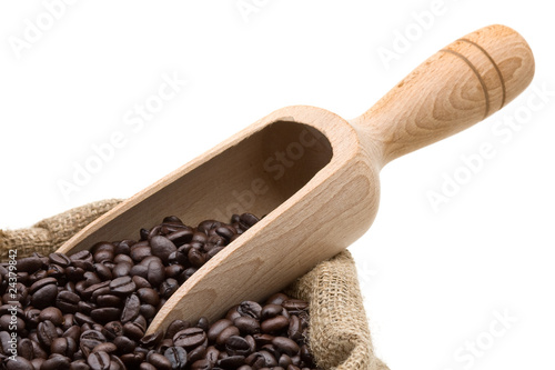 Testing coffee beans