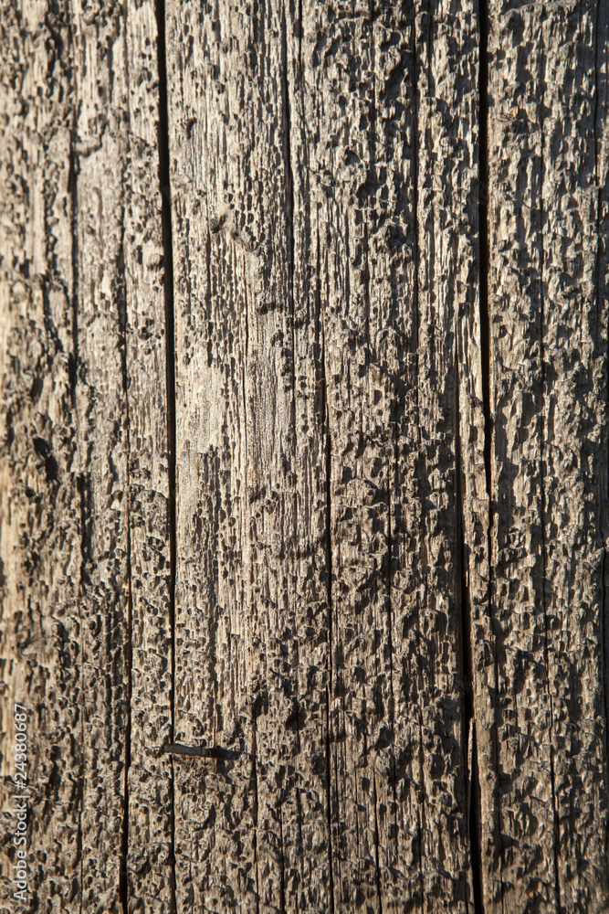 Obraz premium Weathered Telephone Pole