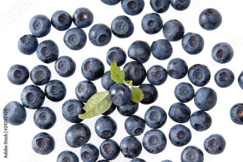 Bilberries on the wite surface