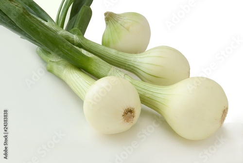 early onions with green leaves