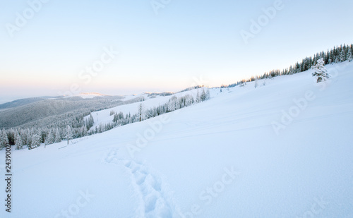 Snowy sunrise landscape © wildman