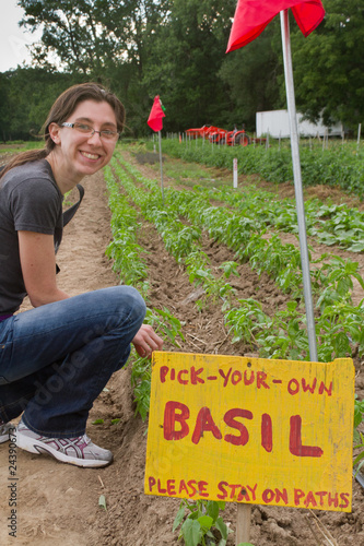 Young woman picking basil