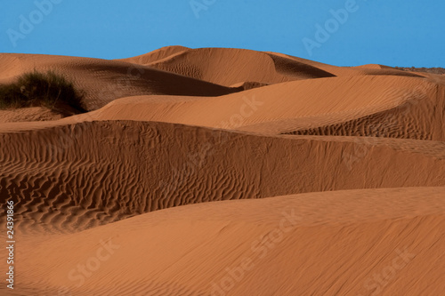 Deserto, natura morta,Tunisia