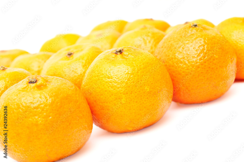 fresh tangerines lined up isolated on white fresh tangerines lined up isolated on white