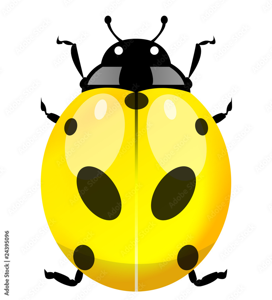 Yellow Coccinelle Yellow Coccinelle