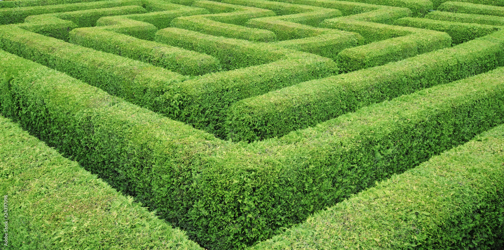 Irrgarten  Hedge Maze
