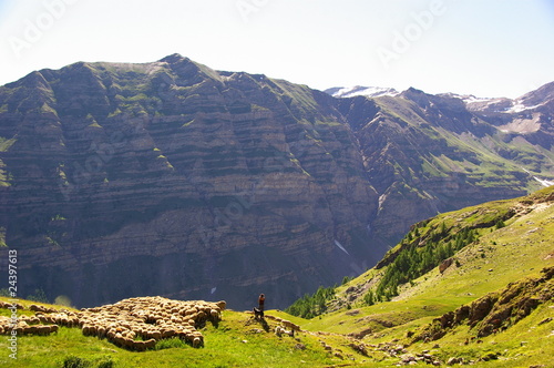 Bergère et brebis, éloignés photo