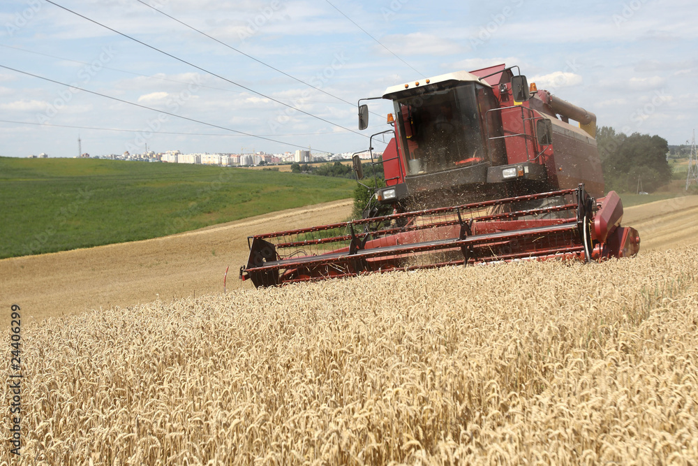 Combine working on a wheat field