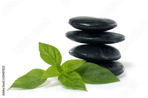 Spa massage treatment stones with balm leaf herb