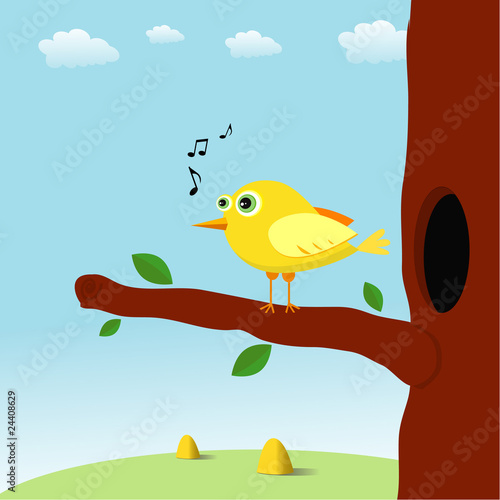 singing bird in an outdoor