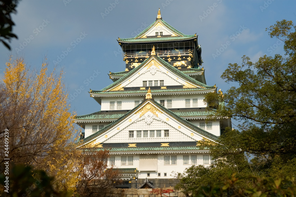 Osaka castle Osaka castle