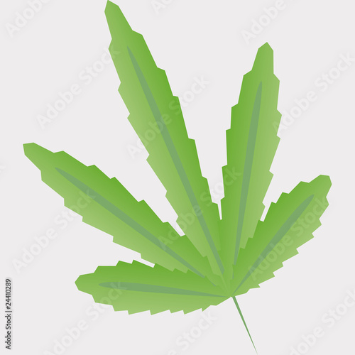 marijuana