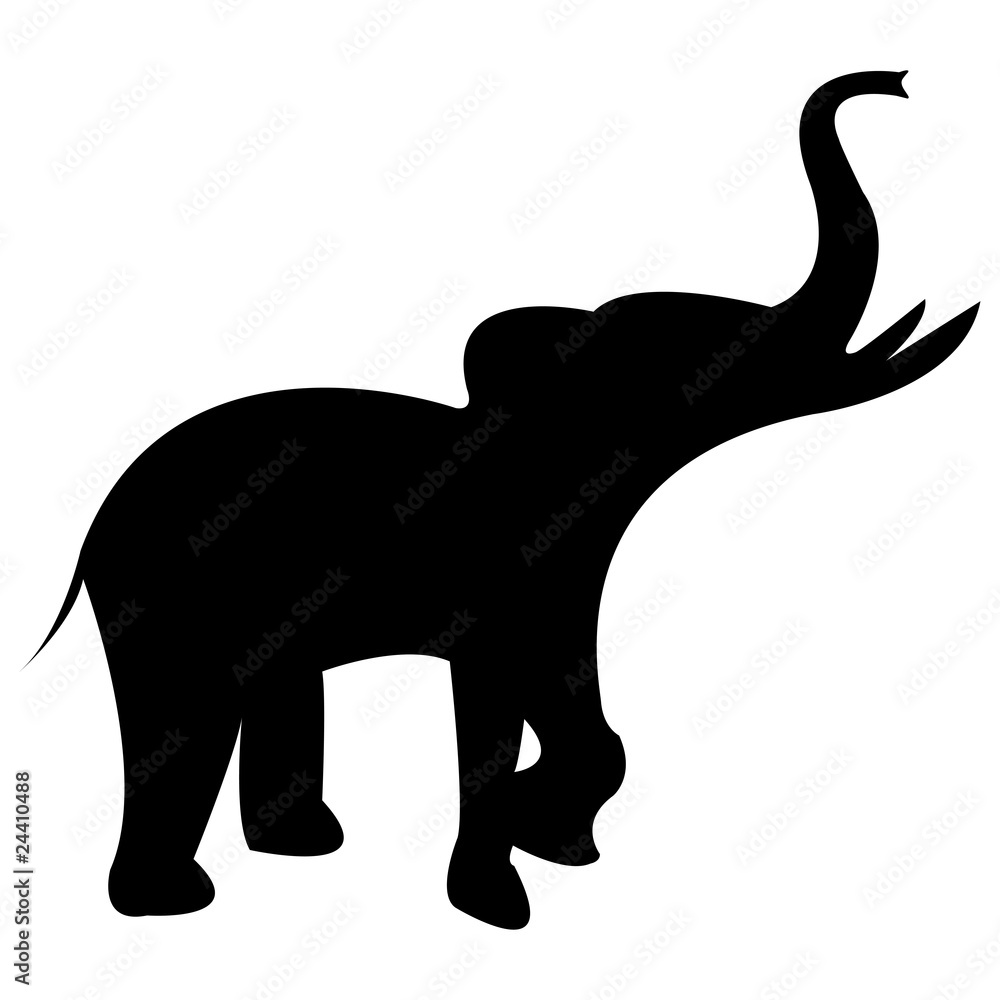 Obraz premium elephant black silhouette isolated on white