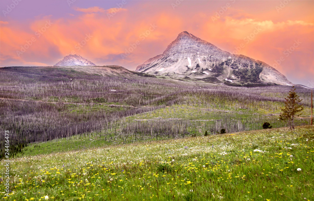 Fototapeta premium Scenic landscape