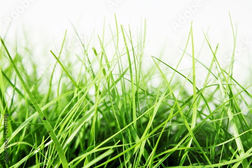 Gras