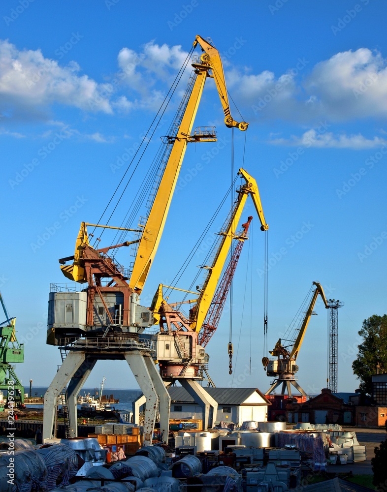 Cargo cranes in the port
