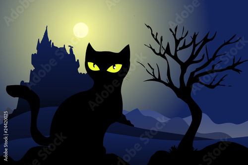 schwarze Katze #24420025