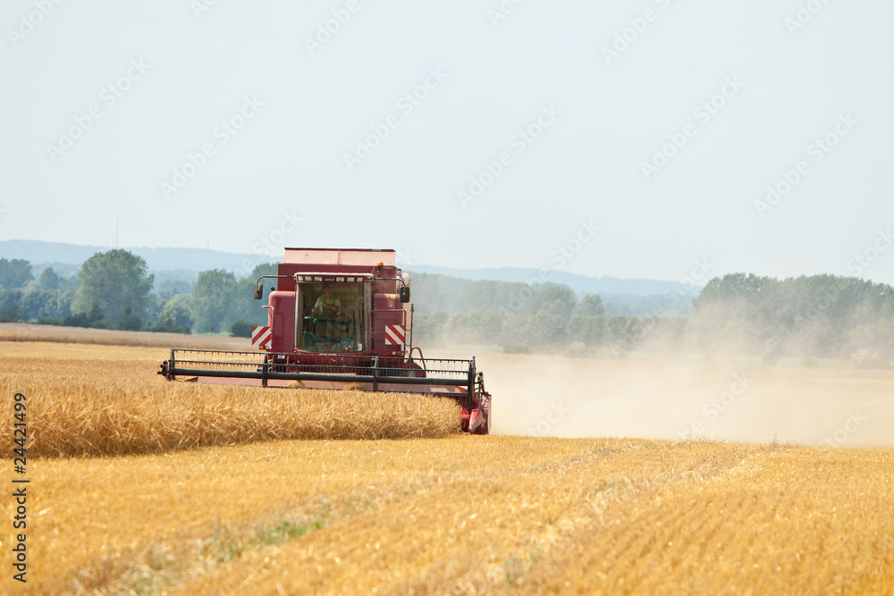 Obraz premium Mähdrescher