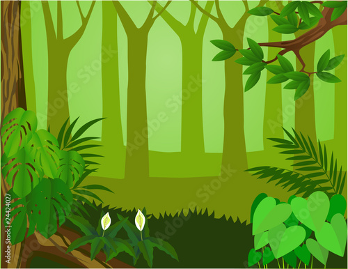 Forest