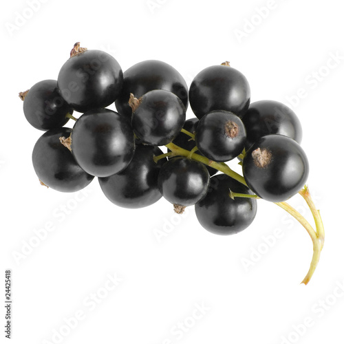 Black currant | Isolated