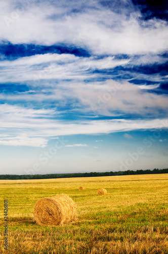 Field, three bales and amazing blue sky with white clouds.