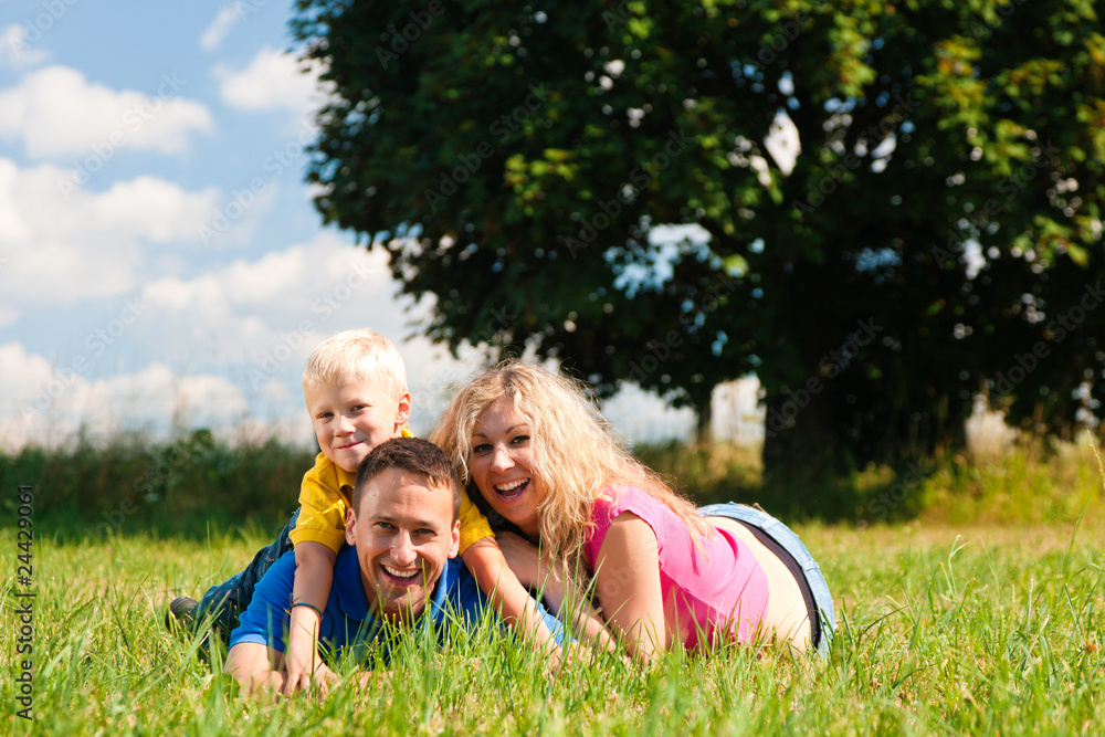 Fototapeta premium Familie liegt auf der Wiese