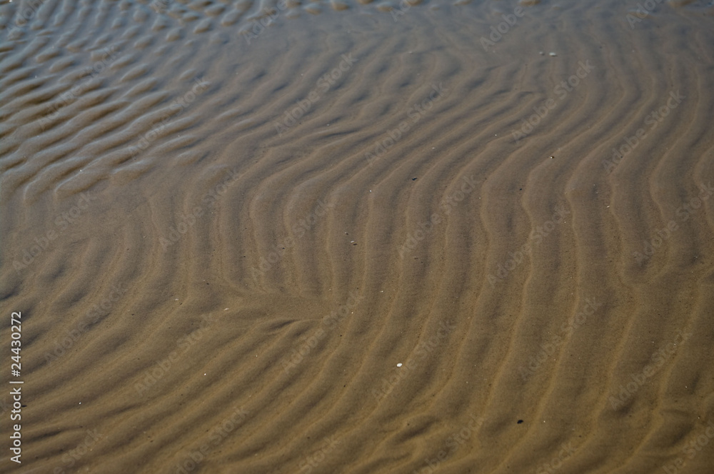 relief of sea sand relief of sea sand