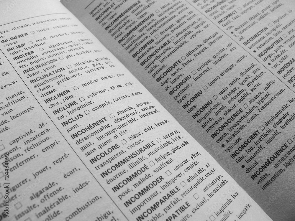 Obraz premium dictionnaire