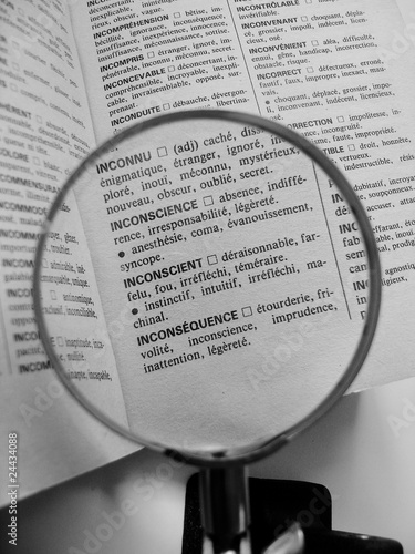 dictionnaire avec loupe